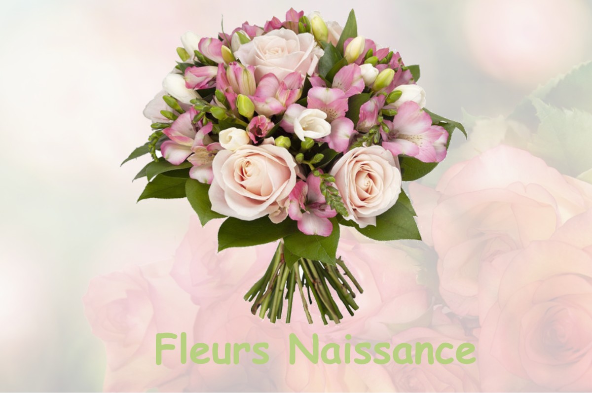 fleurs naissance HAINVILLERS